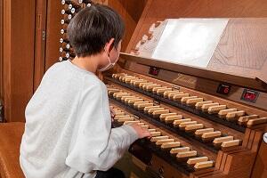 organ1.jpg